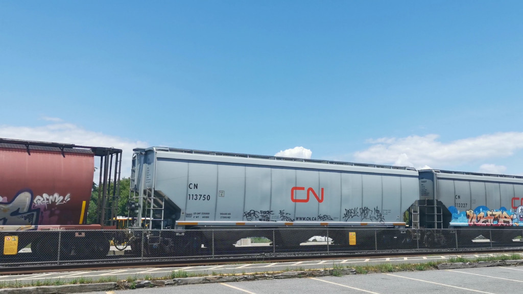 CN 113750